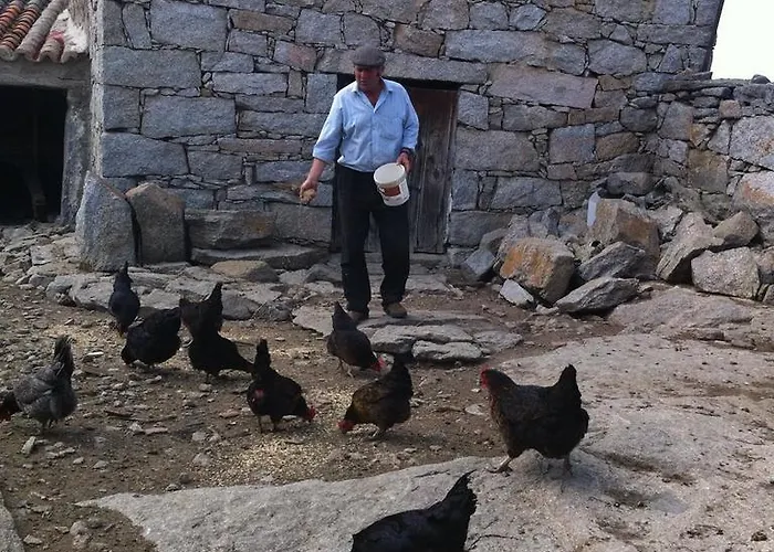 El Linaje De Cinco Sombreros منزل ريفي